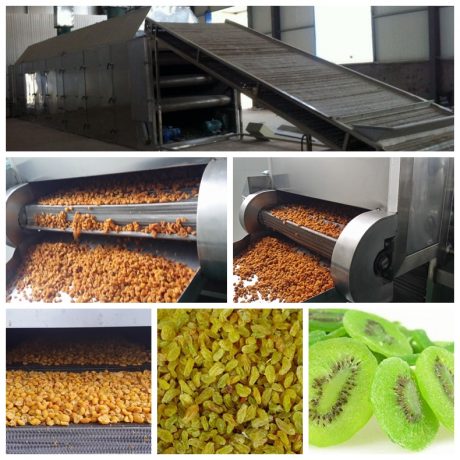 Fruit Concentrate Factory