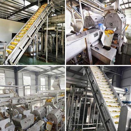 Fruit Concentrate Factory